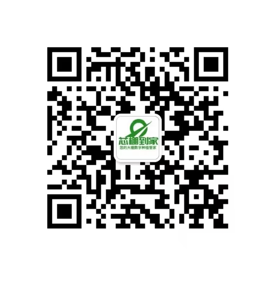 中国农业大学